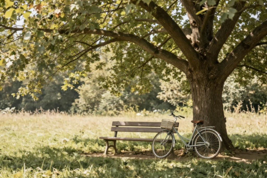 Ruhige Parkbank unter einem schattigen Baum mit Fahrrad in einer natürlichen Umgebung als Symbol für Entschleunigung und Digital Detox
