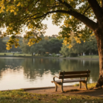 Parkbank unter einem großen Baum an einem ruhigen See im warmen Licht eines Sommerabends
