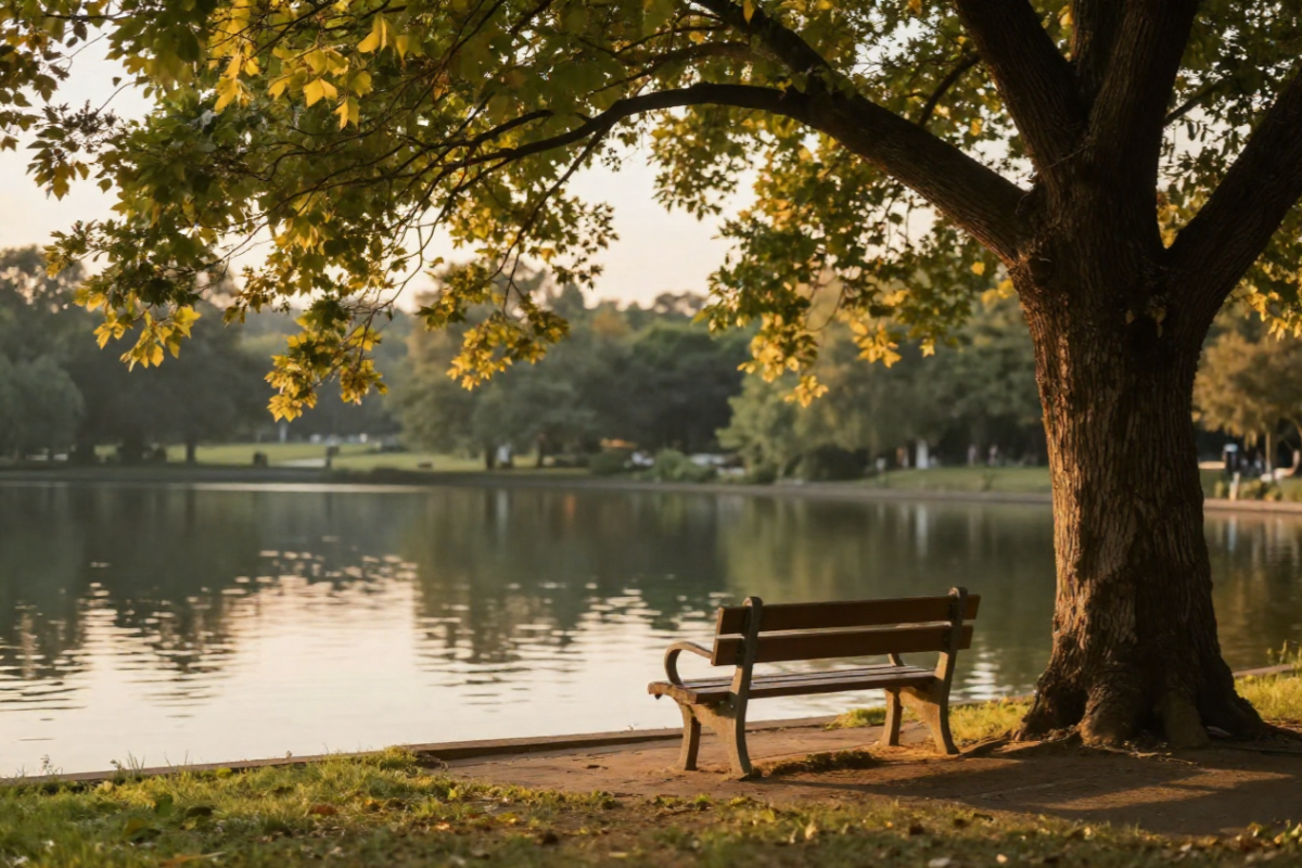 Parkbank unter einem großen Baum an einem ruhigen See im warmen Licht eines Sommerabends