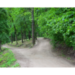 Ruhiger Waldweg mit Weggabelung in grüner Natur als Symbol für Selbstfürsorge, mentale Balance und bewusste Entscheidungen im Alltag.