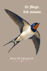Eine Schwalbe im Flug vor warmem beigem Hintergrund mit dem Text „Er fliegt. Ich staune.“ – Einladung zu einer kontemplativen Geschichte über Staunen, Natur und die Schönheit unbeantworteter Fragen.
