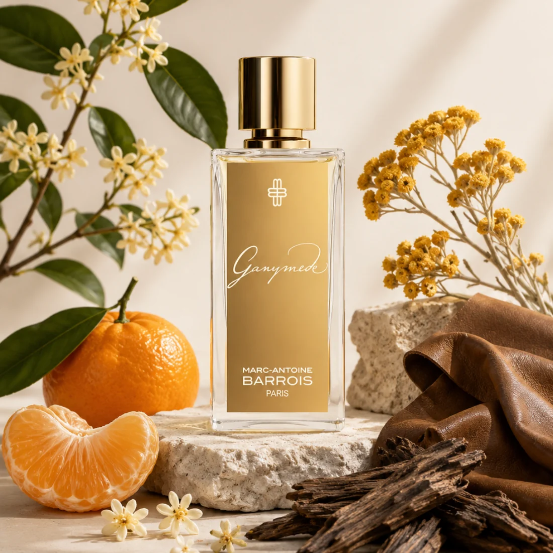 Ganymede Eau de Parfum als exklusives Parfum-Geschenk zu Weihnachten